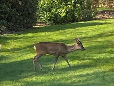 Birchcroft - hideaway