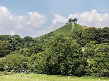 Cliff Farm No. 2 Cottage BURTON BRADSTOCK