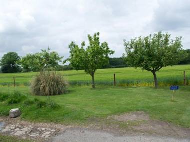 Woodview Bed & Breakfast