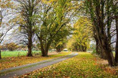 YHA Chester Trafford Hall