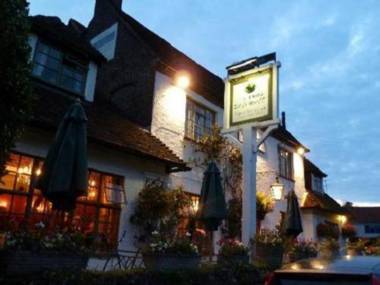 The Frog at Skirmett