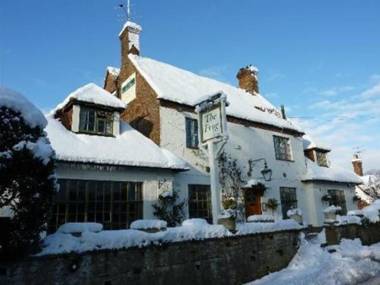 The Frog at Skirmett