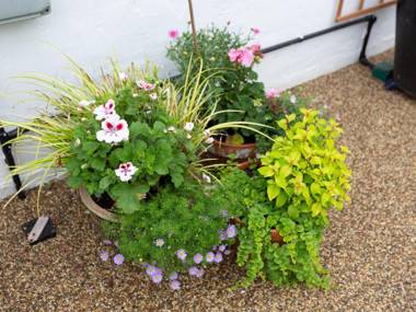 Little England Cottage