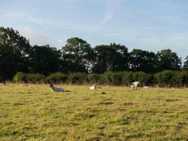 Barnfields Holiday Cottage Stoke-on-Trent