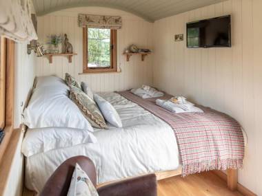 Padarn's Hut Llandrindod Wells