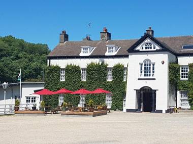 Llwyngwair Manor