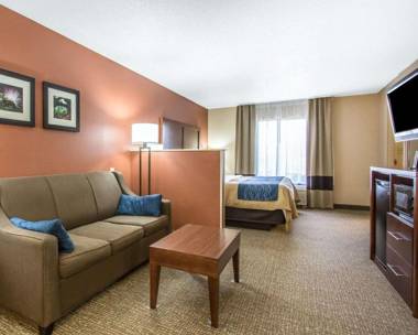 Comfort Inn Livingston