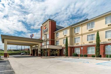 Comfort Inn & Suites Millbrook - Pratville