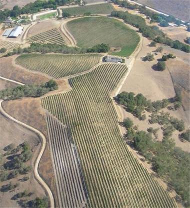 The Eden House Vineyard