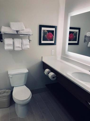 Best Western Plus Desert View Inn & Suites