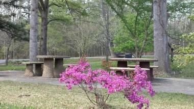 Valley Inn - Hamilton Ga