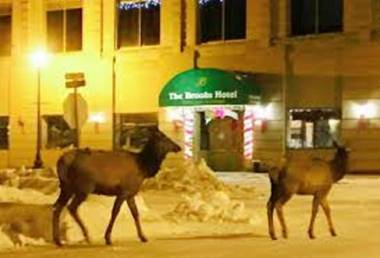 The Brooks Hotel Restaurant and Lounge