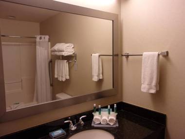 Holiday Inn Express Hotel & Suites Chicago West Roselle an IHG Hotel