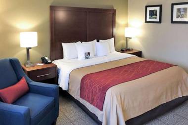 Comfort Inn Farmington Hills