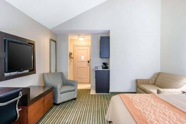 Comfort Inn Plainwell