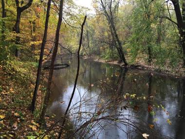 Goldberry Woods- A Modern Farm Resort