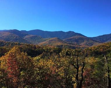 Mt Mitchell Cabin Rentals