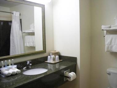 Holiday Inn Express & Suites - Omaha I - 80 an IHG Hotel