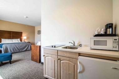 Comfort Inn Apalachin - Binghamton W Route 17