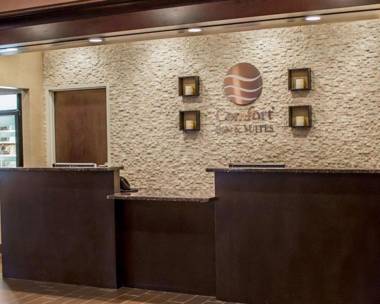 Comfort Inn & Suites Wadsworth