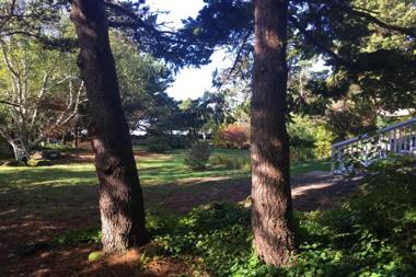 Hidden Luxury Beachfront Estate