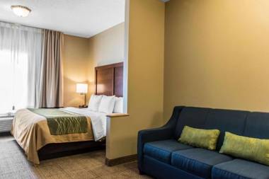 Comfort Inn Lancaster County