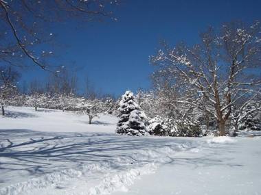 Baneberry Meadows B&B