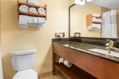 Clarion Hotel & Suites University-Shippensburg