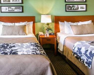 Sleep Inn & Suites near Palmetto State Park