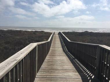 Sea Life's Beauty in this Oceanview Beachhouse!