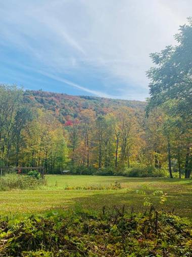 Woodbridge Inn Bed & Breakfast