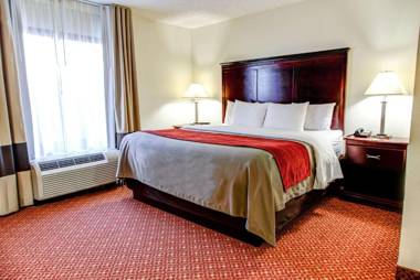 Comfort Inn Birmingham Homewood