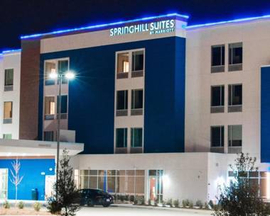 SpringHill Suites by Marriott Birmingham Gardendale