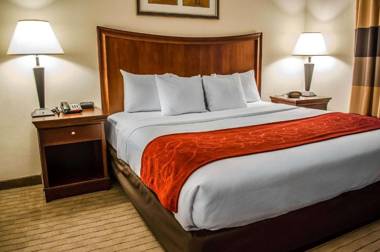 Comfort Suites Mobile West/Tillmans Corner