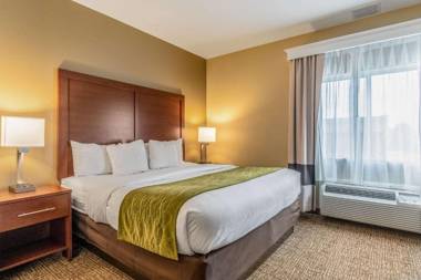 Comfort Inn and Suites - Tuscumbia/Muscle Shoals