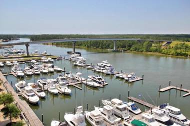 The Wharf 902 by Young's Suncoast