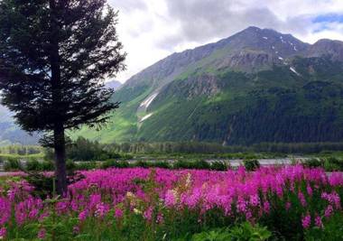 Arctic Paradise B&B