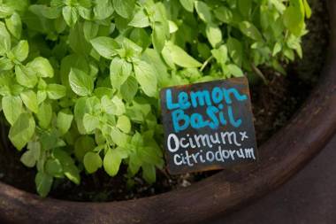 JW Marriott Phoenix Desert Ridge Resort & Spa