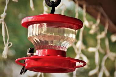 Sheridan House Inn- Adult Only Accommodation