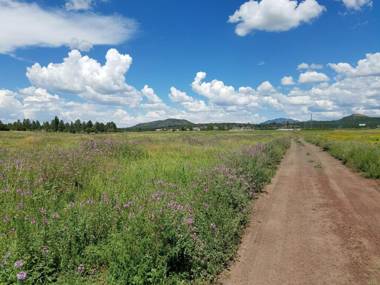 Grand Canyon RV Glamping