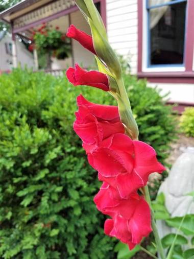 5 Ojo Inn Bed and Breakfast