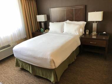 Holiday Inn Hotel & Suites Anaheim an IHG Hotel