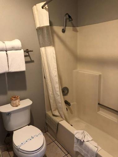 Alamo Inn and Suites - Convention Center