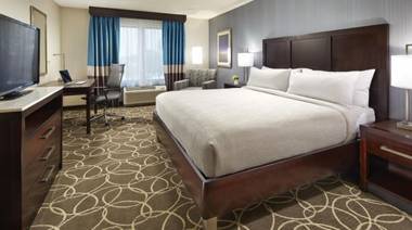 Hilton Garden Inn Anaheim Resort