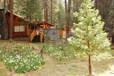 52 Tuolumne Meadow