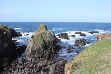 Emerald Dolphin Inn & Mini Golf