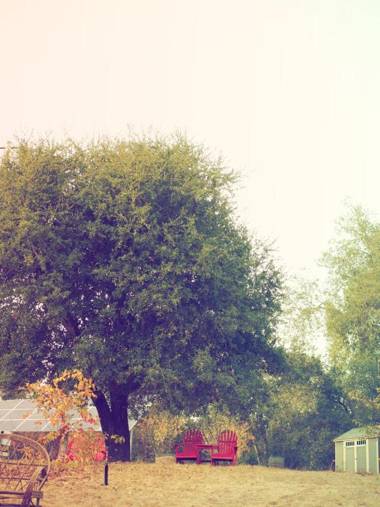 Mine and Farm The Inn at Guerneville CA