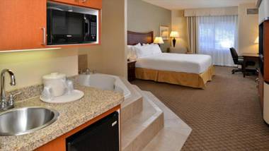 Holiday Inn Express Hotel & Suites Lincoln-Roseville Area an IHG Hotel