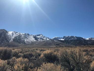 Mountainback #45 Den
