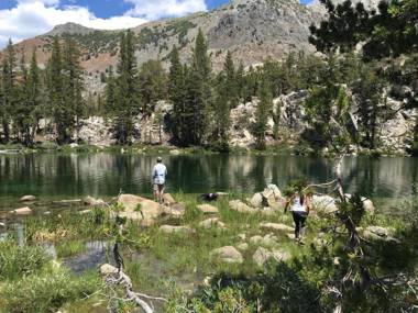 Mountainback #45 Den